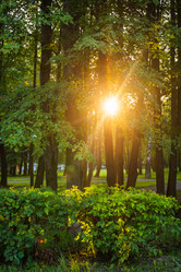 Similar image 22228582