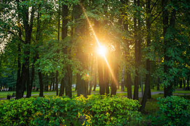 Similar image 22228583