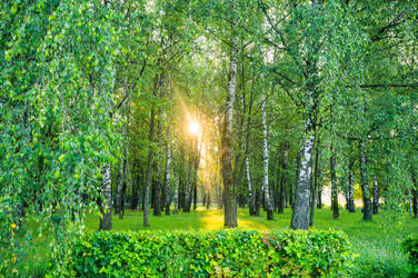 Similar image 22228585