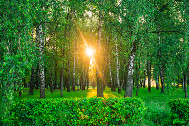 Similar image 22228586