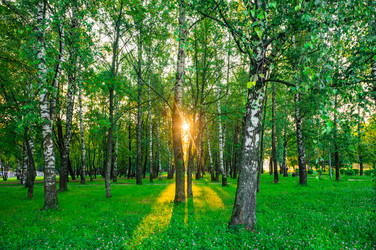 Similar image 22228587