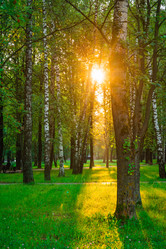 Similar image 22228589