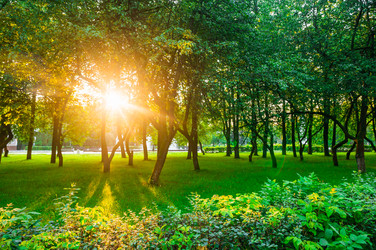 Similar image 22228591