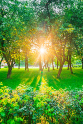 Similar image 22228592