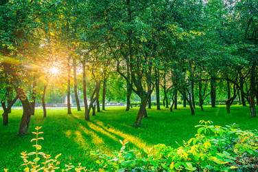 Similar image 22228593