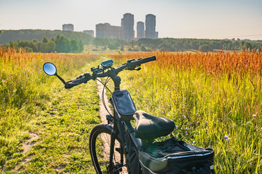 Similar image 22228600