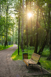 Similar image 22228604