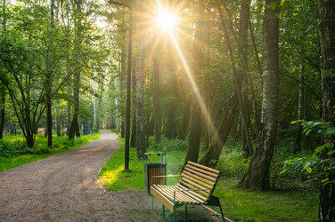 Similar image 22228605