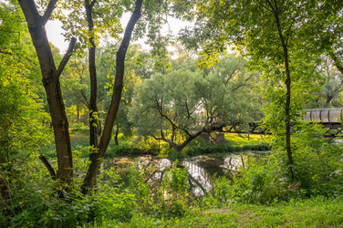 Similar image 22228606