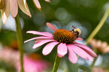 Similar image 22229369