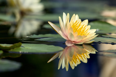 Similar image 22229370