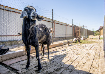 Similar image 22232367