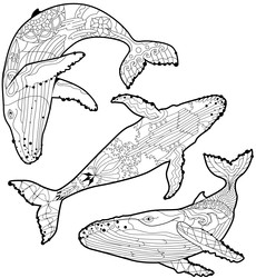 Similar image 22231603