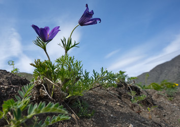 Similar image 22228925