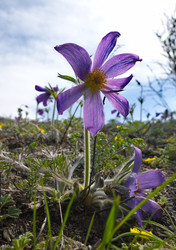 Similar image 22228926