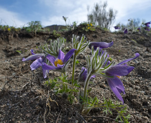 Similar image 22228928