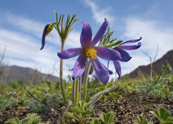 Similar image 22228929