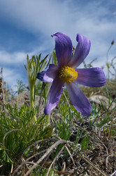 Similar image 22228930