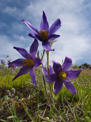 Similar image 22228931