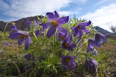 Similar image 22228932