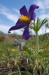 Similar image 22228933