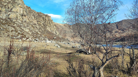 Similar image 22229553