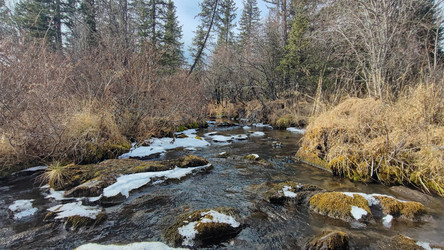 Similar image 22229555