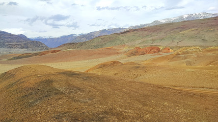 Similar image 22229556