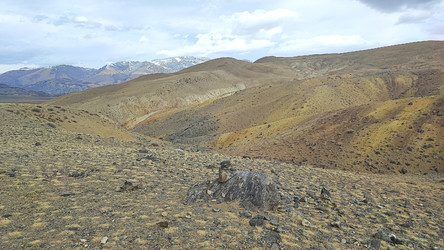 Similar image 22229557