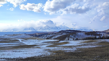 Similar image 22229562