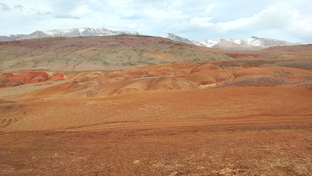 Similar image 22229571