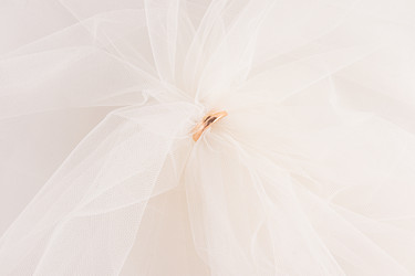 Similar image 22228950