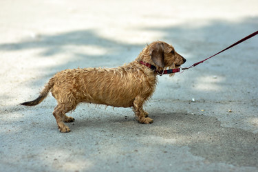 Similar image 22229572