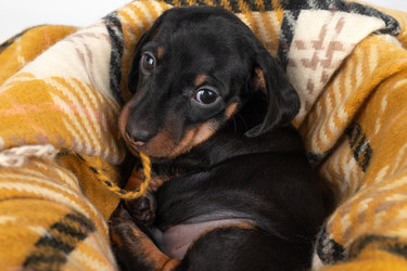 Similar image 22229575