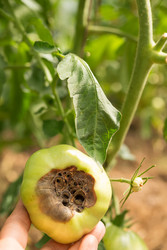 Similar image 22230497