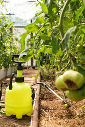 Similar image 22230499