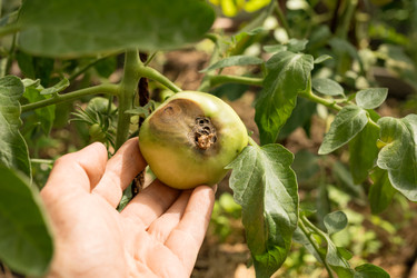 Similar image 22230501