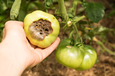 Similar image 22230502