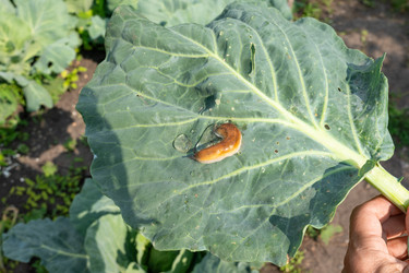 Similar image 22229576