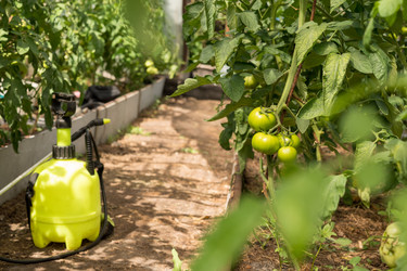 Similar image 22229577