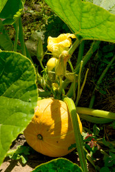 Similar image 22229580