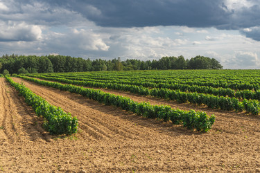 Similar image 22231245