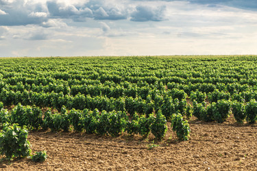 Similar image 22231246