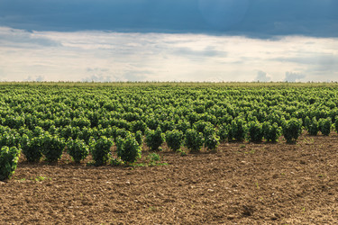 Similar image 22231247