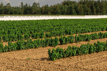 Similar image 22231249