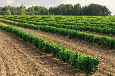 Similar image 22231251