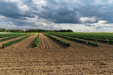 Similar image 22231252