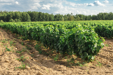 Similar image 22231255