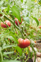 Similar image 22228966