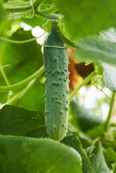 Similar image 22228967